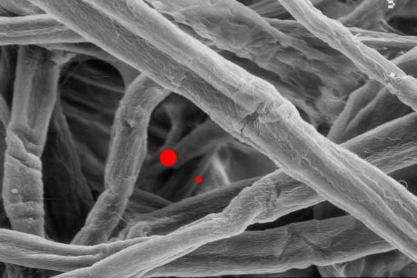 Nanofiber vs. Conventional Cellulose